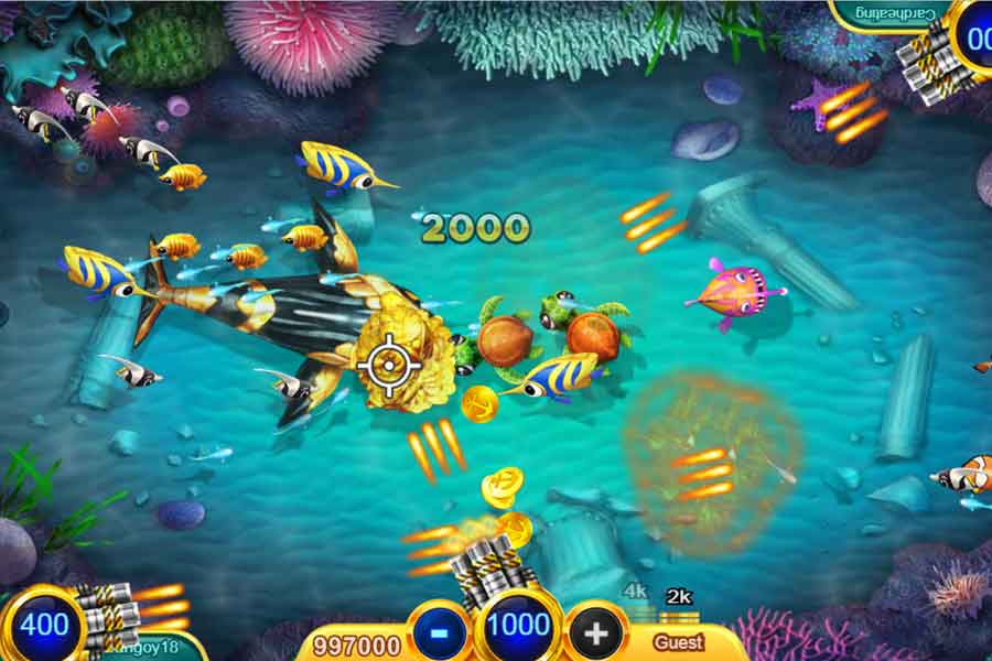 gambling fishing shooting game you win two hundred more coins. It is very critical to know that the big fishes are not similar to the small ones