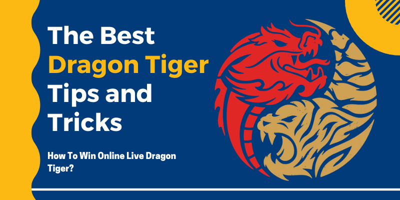 Tips Eight ways to win the dragon and tiger