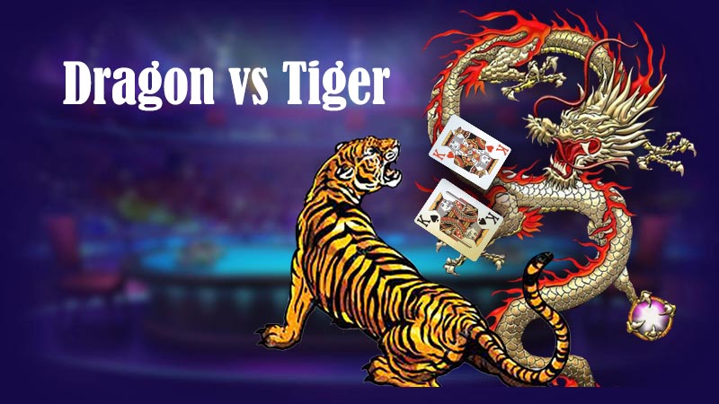 Dragon Tiger card counting how to win
