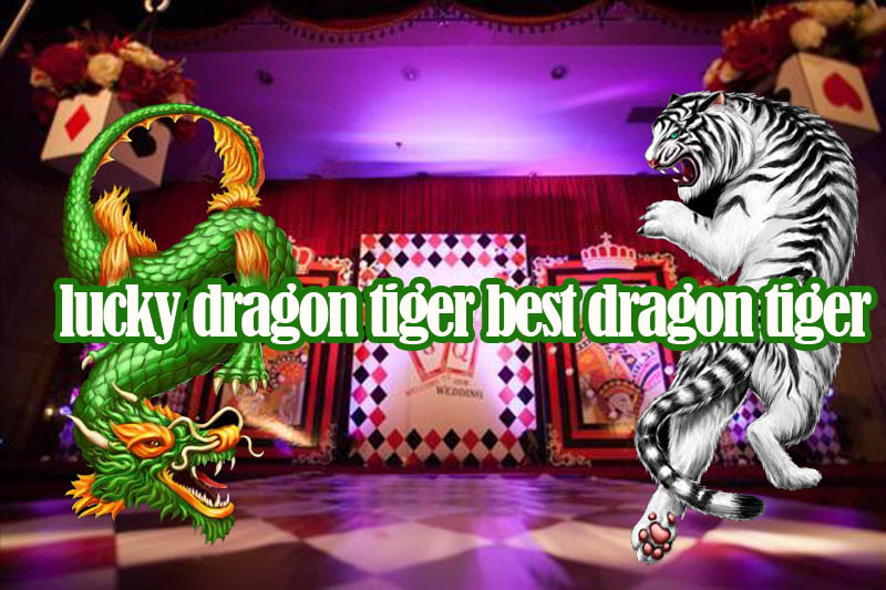 lucky dragon tiger best dragon tiger